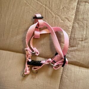 LupinePet Originals 3/4" Puppy Love Step In Harness for XSmall Dogs